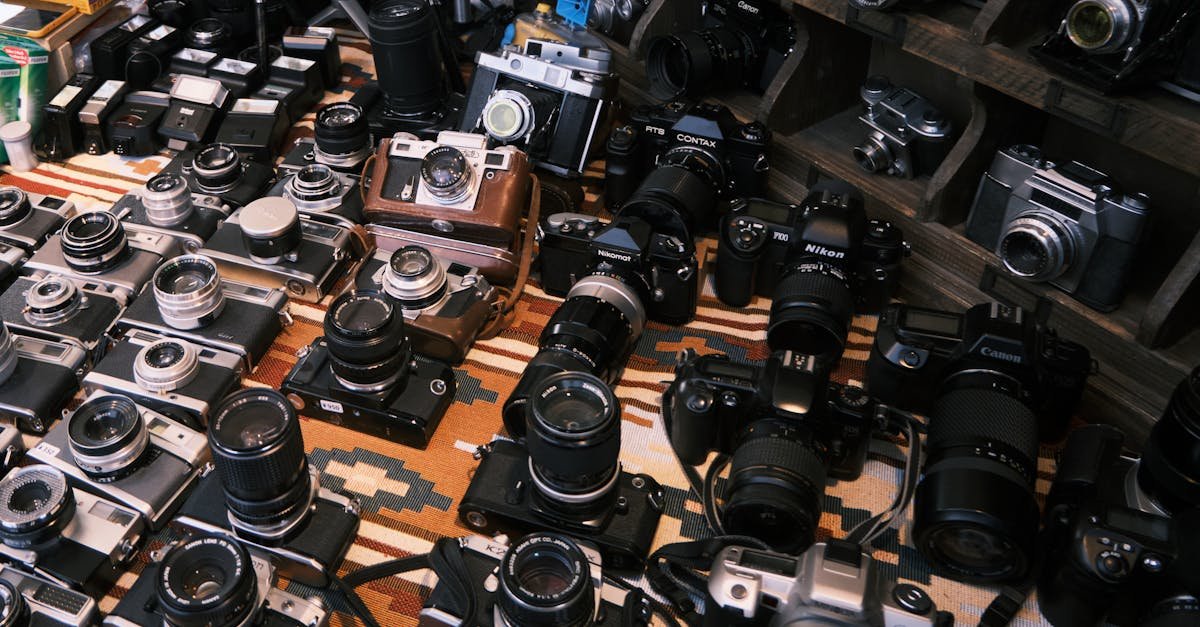 Retro szkło, nowoczesny korpus: odkryj urok starych obiektywów w cyfrowej fotografii