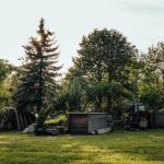 Ogród z drewna bez spiny: najprostsze projekty na weekend
